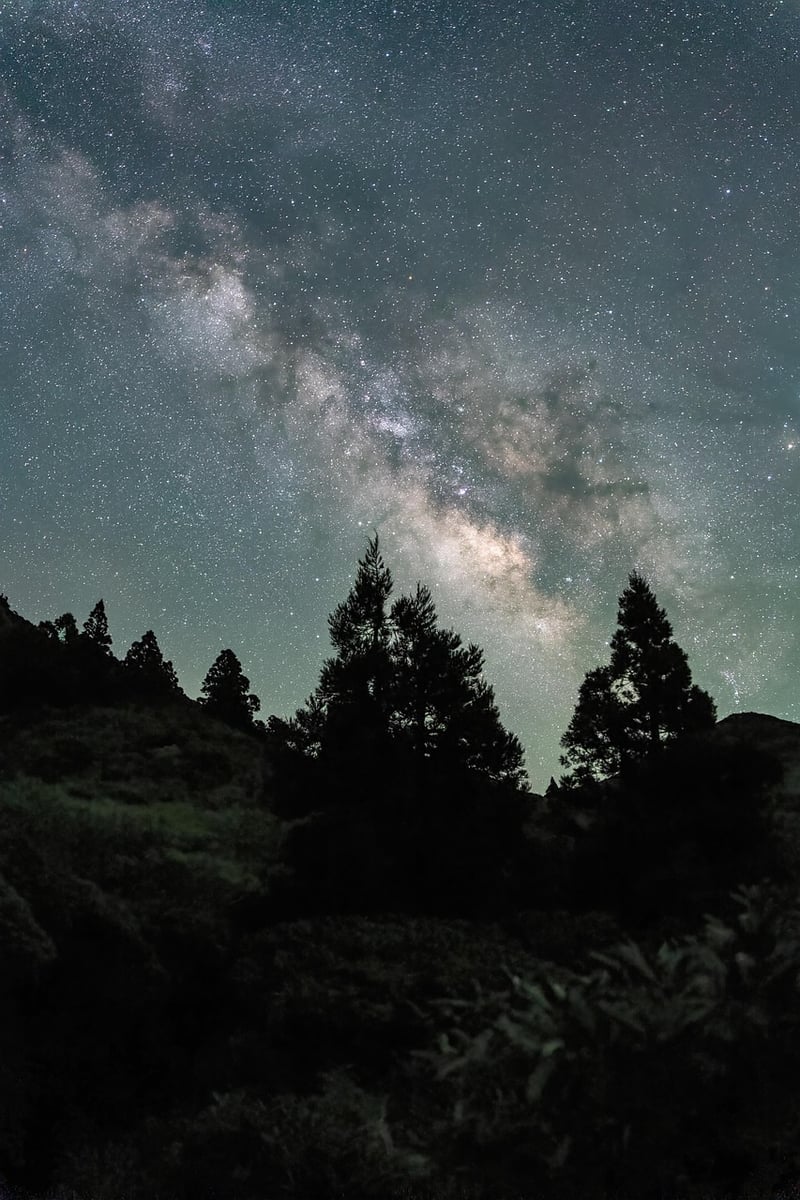Star-filled Sky