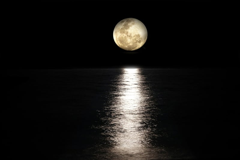 Moonlit Accessories