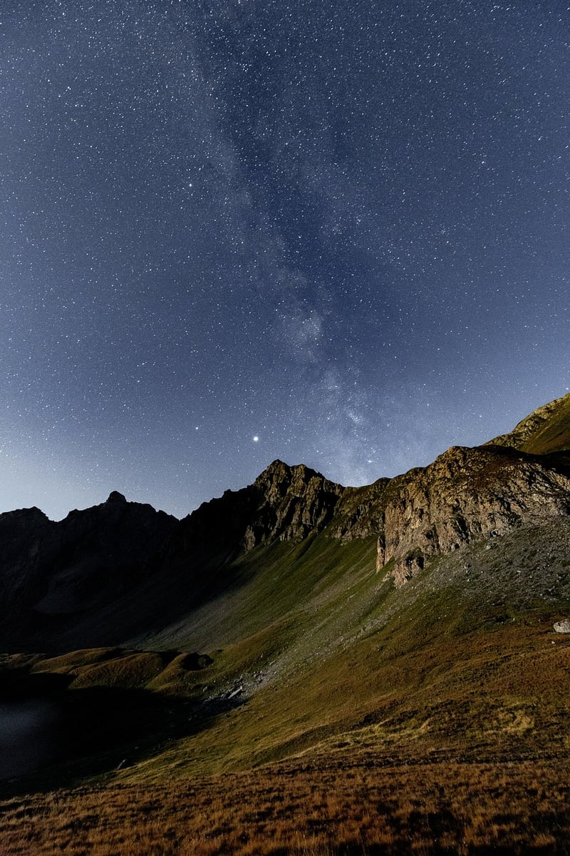Starlight Meadow